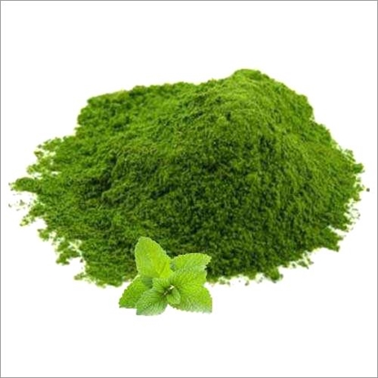 Picture of LAMB BRAND MINT